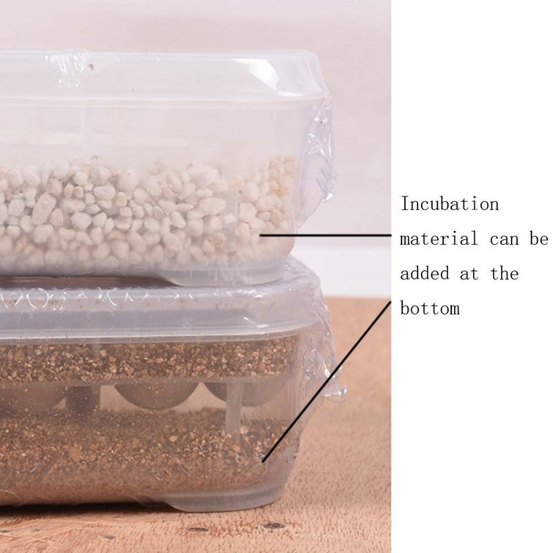 OMEM Reptile Breeding Box, Reptile Egg Incubators, Hatchery Box, for Hatching Gecko, Lizards, Lions Mane, Reptiles (Thermometer, Transparent Box) - Image 3